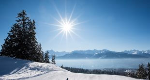 cursuri ski